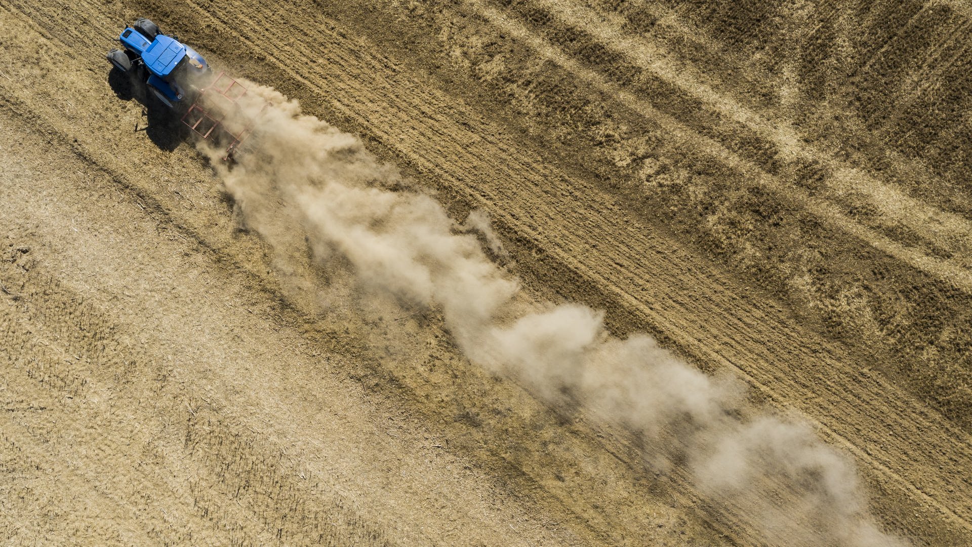 Heisszeit Und Tierwohl Die Neue Landwirtschaft Swr1