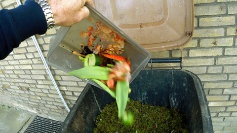 Was darf rein und was nicht? Immer häufiger finden Sortierer in der Abfallwirtschaft Bad Kreuznach auch Windeln, Elektroschrott und andere Gegenstände im Biomüll, der dort nicht hingehört. Was genau in die Biotonne darf, dass entscheidet der lokale Entsorgungsträger.
