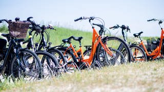 Verschiedene Fahrräder stehen an einem Feldweg