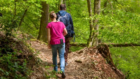 Eine Frau und ein Mann wandern durch den Wald.