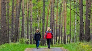 Zwei Frauen gehen im Wald spazieren