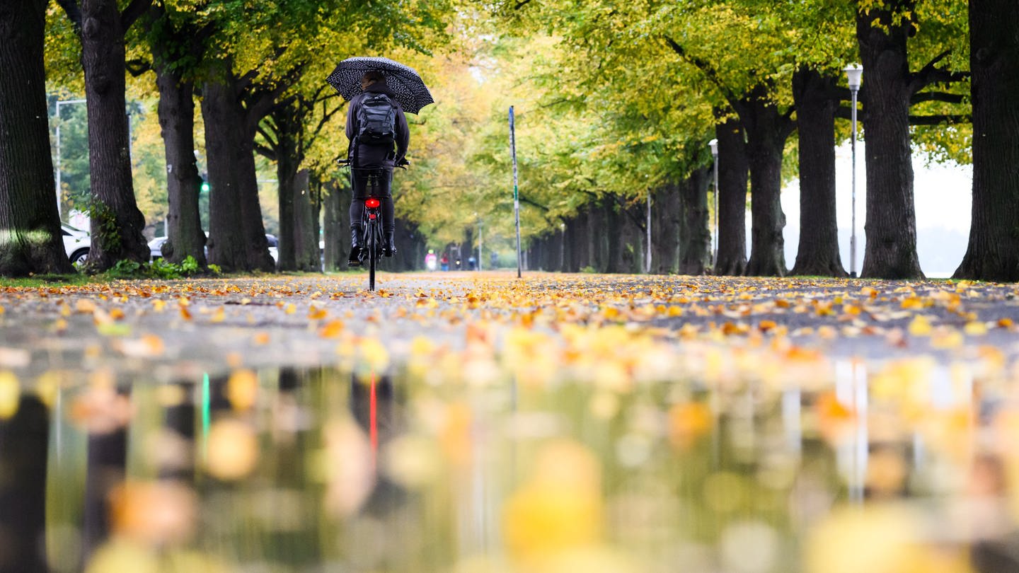 Fahrradfahrer im Herbst