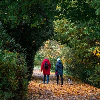 Zwei Personen gehen mit einem Hund durch den herbstlichen Hofgarten spazieren.