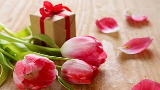 Ein Strauß rosa Tulpen und ein Geschenk zum Valentinstag