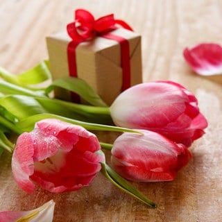 Ein Strauß rosa Tulpen und ein Geschenk zum Valentinstag