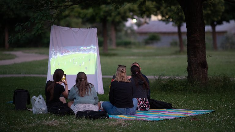 Fußballfans schauen auf einer Leinwand im Park ein Spiel | So bauen Sie die Leinwand für die EM selbst