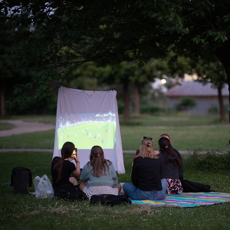 Fußballfans schauen auf einer Leinwand im Park ein Spiel | So bauen Sie die Leinwand für die EM selbst