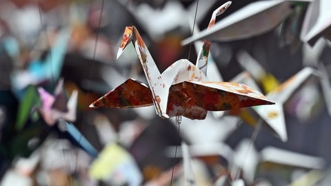 14. Juni: Rund 1.800 kunstvoll verarbeitete Origami-Kraniche hängen über der historischen Krämerbrücke in Erfurts Altstadt. Die Kunstinstallation zum Krämerbrückenfest 2024, das noch bis zum 16. Juni andauert, steht unter dem Motto "1.000 Kraniche bringen Frieden“ und ist eine Idee des Künstlers Lars Bucki. Eine schöne Botschaft, finden Sie auch?