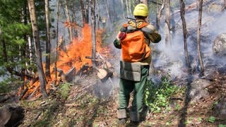 Feuerwehrmann löscht im Wald | So verringern Sie die Waldbrandgefahr