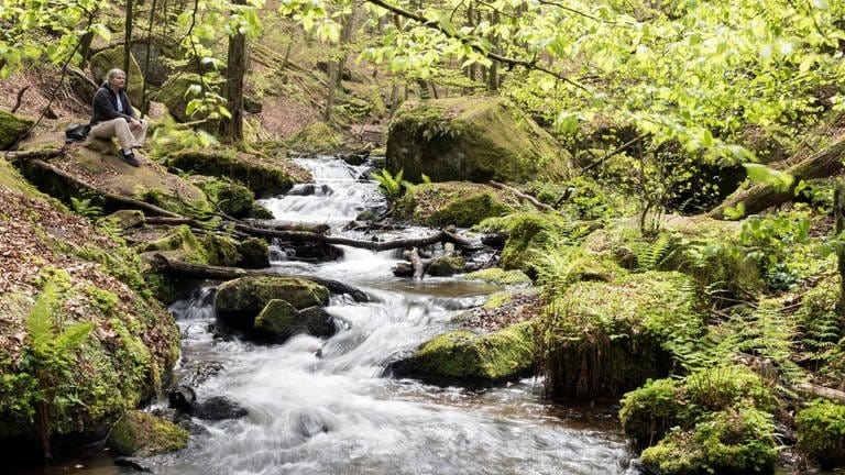 Hier können Sie sich in Rheinland-Pfalz abkühlen: Karlstalschlucht