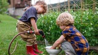 Gärtnern mit Kindern - SWR1 Gartentipp