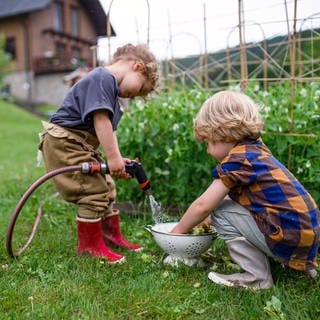 Gärtnern mit Kindern - SWR1 Gartentipp