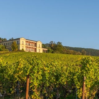 Villa Ludwigshöhe an der Pfälzer Weinstraße bei Edenkoben | Fernreiseziele vor der Haustüre in Rheinland-Pfalz