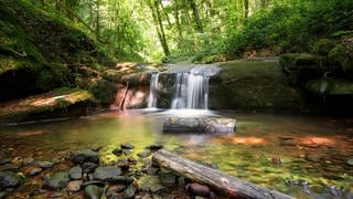 Bach in der Nähe von Trier | Gewässer Rheinland-Pfalz: Wie geht es unseren Flüssen und Bächen?