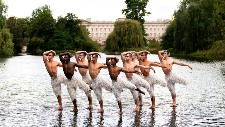 12. September: Schönheit in Vollendung oder totale Provokation? Hier posieren die Darsteller von Matthew Bournes "Schwanensee" für ein Foto auf dem See im Londoner St. James' Park. Diese kühne Neuerfindung von Tschaikowskys Meisterwerk erregte schon bei seiner Premiere vor fast 30 Jahren großes Aufsehen und ist seitdem eine erfolgreiche Tanztheaterproduktion.