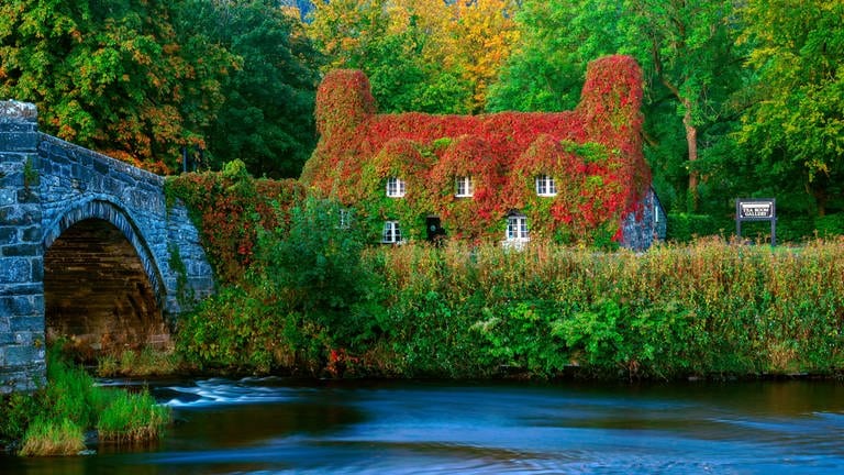 24. September: So schön kann der Herbst sein! Am liebsten möchten wir sofort nach Nordwales reisen, um uns in der Teestube Tu Hwnt I'r Bont am Ufer des Flusses Conwy eine Auszeit zu gönnen und uns an den prächtigen Farben des Herbstes zu erfreuen.