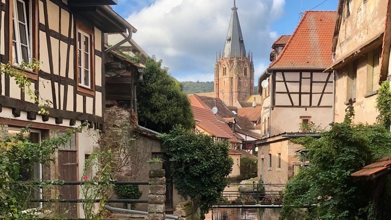 Luzie aus Speyer schreibt uns zu ihrem Bild von Ausflug nach Weissenburg im Elsass: "Die bunten Sommerblumen an der Lauter sind zwar schon verblüht, aber es ist immer noch ein schöner Anblick."