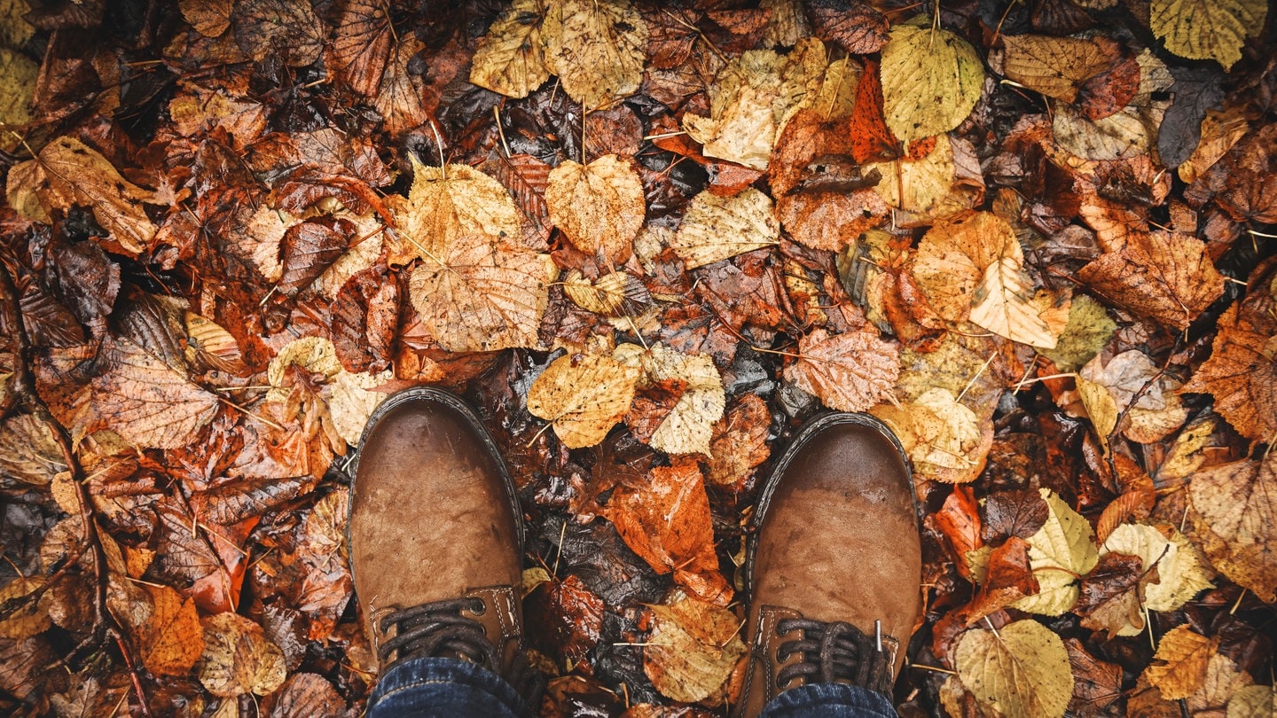 Vorbeugen gegen die Herbst- und Winterdepression | So wirken Farben auf die Psyche