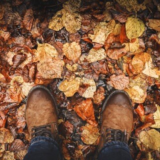 Vorbeugen gegen die Herbst- und Winterdepression | So wirken Farben auf die Psyche