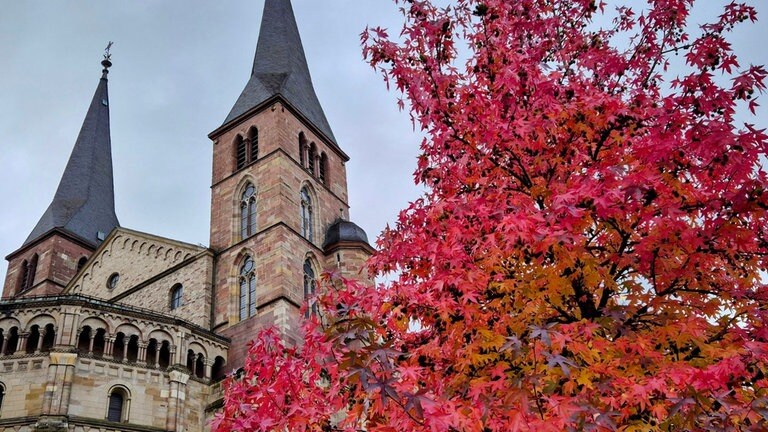 Hans-Peter Limper Trier hat uns dieses schöne Foto vom Trierer Dom zugeschickt und schreibt dazu: "Herbst-Botschaft am Dom".