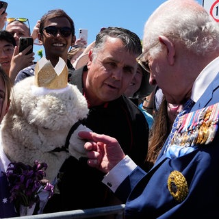 21. Oktober: Königliche Streicheleinheiten für Alpaka "Hephner". Der britische König Charles lässt es sich bei einem Termin in Canberra im Rahmen eines Australien-Besuches nicht nehmen, mit einem Alpaka auf Tuchfühlung zu gehen.