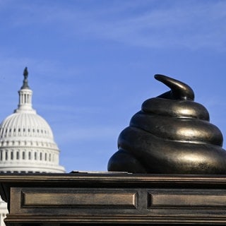 29. Oktober: Diese Statue in Form eines großen Haufens wurde gestern auf dem Areal der National Mall in Washington D.C. enthüllt. Die Statue ist den Randalierern des 6. Januar 2021 gewidmet. Damals hatte ein wütender Mob das US Capitol gestürmt