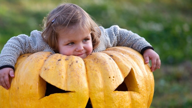 31. Oktober: Süßes oder Saures! Heute Abend ziehen wieder viele Kinder durch die Straßen. Diese kleine Maus aus Frankfurt (Oder) hat aber eine ganz neue Verwendung für den großen Halloween-Kürbis entdeckt. In diesem Sinne: Happy Halloween!