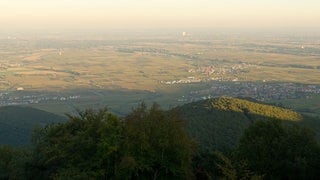 Kalmit einen Meter höher als bisher | Blick von der Kalmit bei Maikammer