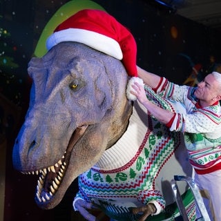 14. November: Auch der Saurier muss ins Weihnachtskostüm! Mit Mütze und Pulli ist dieser Raubsaurier aus dem Londoner Natural History Museum bereit für die diesjährige Weihnachtsausstellung des Museums.