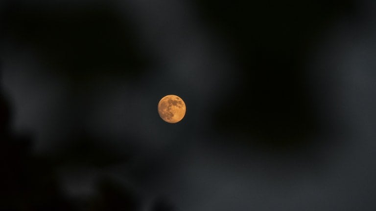 15. November: Um 13.27 Uhr MEZ ist Super-Mond. Dann ist der Erdtrabant der Erde zum letzten Mal in diesem Jahr am nächsten. Nur rund 357.000 Kilometer trennen uns dann vom Mond. Wer also in der kommenden Nacht keine Wolken am Himmel haben sollte, kann dem letzten Supermond 2024 noch einen Blick schenken.