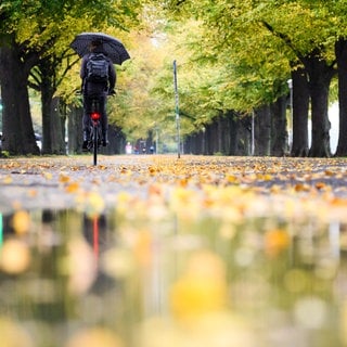 Fahrradfahrer im Herbst