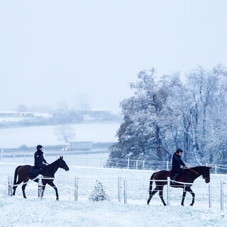 19. November: Die englische Grafschaft Worcestershire hat sich schon jetzt in ein Winterwunderland verwandelt, das drei Reiter bei einem Ausritt genießen. Auch in Deutschland könnte in den nächsten Tagen in den mittleren und hohen Lagen Schnee fallen. Wo es nicht schneit, ist mit Regen oder Graupelschauer sowie weiterhin starken Böen und zunehmender Kälte zu rechnen. 