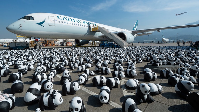 3. Dezember: Am internationalen Flughafen von Hongkong sorgt derzeit eine Pandabären-Invasion für Aufsehen: 2.500 Panda-Skulpturen wurden im Rahmen der feierlichen Eröffnung der Ausstellung "Panda Go!" präsentiert. Nach ihrem Auftritt am Flughafen treten die kleinen Bären ihre Reise durch Hongkong an. Sie werden im Laufe des Monats noch an der berühmten Avenue of Stars im Einkaufsviertel Tsim Sha Tsui und an weiteren ikonischen Orten der Stadt aufgestellt.