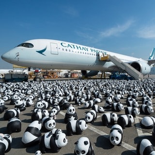 3. Dezember: Am internationalen Flughafen von Hongkong sorgt derzeit eine Pandabären-Invasion für Aufsehen: 2.500 Panda-Skulpturen wurden im Rahmen der feierlichen Eröffnung der Ausstellung "Panda Go!" präsentiert. Nach ihrem Auftritt am Flughafen treten die kleinen Bären ihre Reise durch Hongkong an. Sie werden im Laufe des Monats noch an der berühmten Avenue of Stars im Einkaufsviertel Tsim Sha Tsui und an weiteren ikonischen Orten der Stadt aufgestellt.