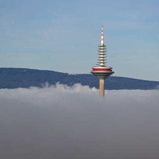 30. Dezember: Hoch hinaus, wenn es unten neblig grau ist! Der Frankfurter Fernsehturm überragt die Nebelsuppe der letzten Tage souverän. Genau das passiert, wenn es oben wärmer ist als unten. Gleichzeitig ist diese Wolken-Inversionsschicht auch für die derzeit relativ schlechte Luft in tieferen Lagen verantwortlich.