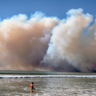 8. Januar: In der Millionenstadt Los Angeles wütet erneut ein Waldbrand. Nachdem zuletzt im Dezember in Malibu gegen das Feuer gekämpft werden musste, ist nun der Stadtteil Pacific Palisades bestroffen. 30.000 Menschen mussten ihr Zuhause verlassen, verletzt wurde niemand. Nach Angaben der Feuerwehr sind bereits mehr als 500 Hektar von den Feuern betroffen, viele Häuser wurden zerstört. Das Feuer verursachte eine riesige Rauchsäule, die auch vom Strand aus zu sehen ist.