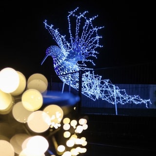 9. Januar: Im Leipziger Zoo gibt es nicht nur echte Tiere zu sehen. Im Rahmen des "Magischen Tropenleuchtens" können die Besucher bunte Lichtinstallationen entdecken, zum Beispiel in Form eines großen Vogels. Eine Bootsfahrt durch den beleuchteten Regenwald bietet sich auch an. Die Ausstellung geht noch bis zum 9. Februar.