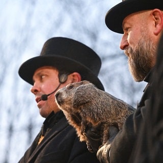 4. Februar: Das sind Phil, das wettervorhersagende Murmeltier, und sein Betreuer A.J. (rechts). Phil musste am Murmeltiertag in Gobbler’s Knob in Punxsutawney in Pennsylvania den Verlauf des Winter vorhersagen. Das passierte in diesem Jahr zum 139. Mal. Laut seines Betreuers habe sich das berühmte Murmeltier für sechs weitere Wochen Kälte entschieden. Vielleicht hätte ein kleines Leckerli Wunder bewirkt.