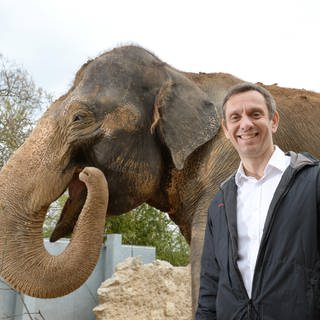 Die Wilhelma, Zoo und botanischer Garten in Stuttgart: Direktor Thomas Kölpin spricht in SWR1 Leute über seine Leidenschaft für Elefanten und Schlangen und seine Zukunftspläne