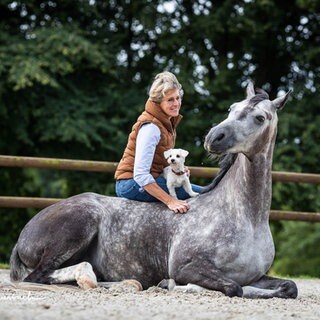 Eine Frau sitzt auf dem Rücken eines Pferds, das es sich in der Koppel auf dem Sandboden gemütlich gemacht hat - ein Hund sitzt auf ihrem Schoß. Das Bild zeigt Anne Krüger-Degener: Sie hat sich auf die Kommunikation mit Tieren spezialisiert - in ihrer Tierschule. Sie ist überzeugt: Dialog bringt eine gute Beziehung zwischen Mensch und Tier.