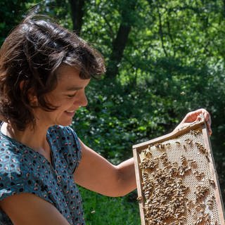 Bienen sind wichtig für die Biodiversität und die Ernährungssicherheit. Aber sie sind vom Aussterben bedroht. Darüber spricht die Bienenforscherin Kirsten Traynor in SWR1 Leute.