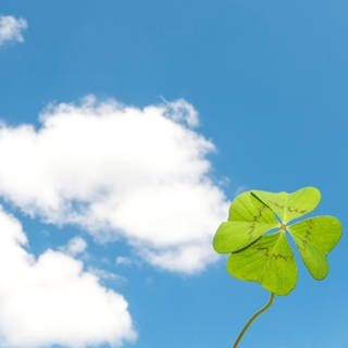 Symbolbild Hoffnung: Wolken in blauem Himmel und Glücksklee.  Hoffnung und Zuversicht: Zwei Worte, die aktuell immer wieder in Diskussionen auftauchen - egal, ob es um Politik, Klimawandel, Ökologie, Finanzen, Psychologie oder generell um unser tägliches Leben geht. Warum sie so wichtig für uns scheinen, weiß der Heidelberger Altphilologe Jonas Grethlein. Er hat das Thema vom Altertum bis zur Gegenwart erforscht und erzählt darüber in SWR1 Leute.