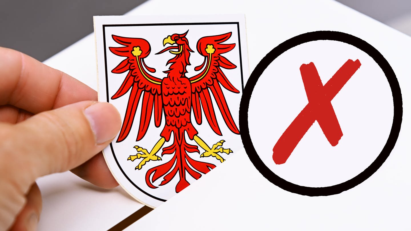 Das Wappen von Brandenburg wird in eine Wahlbox geworfen, Symbolfoto Landtagswahl in Brandenburg, Fotomontage