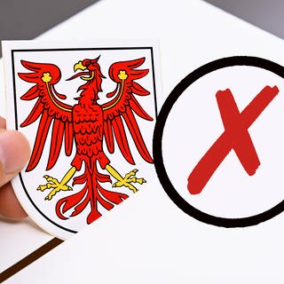 Das Wappen von Brandenburg wird in eine Wahlbox geworfen, Symbolfoto Landtagswahl in Brandenburg, Fotomontage