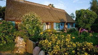 Blumen vor einem Bauernhaus 