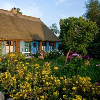 Blumen vor einem Bauernhaus 