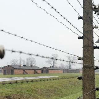 Die Vorbereitungen für die Feierlichkeiten zum 80. Jahrestag der Befreiung des Konzentrationslagers Auschwitz-Birkenau haben begonnen. Das Gelände des KL Auschwitz II Birkenau.