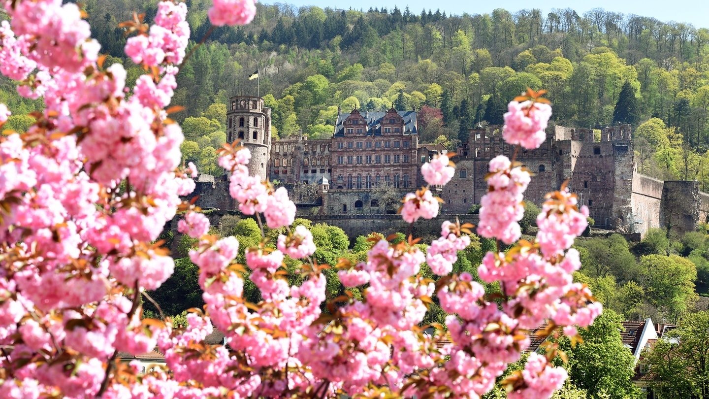 Heidelberger Frühling findet nach zwei Jahren in Präsenz statt SWR Kultur