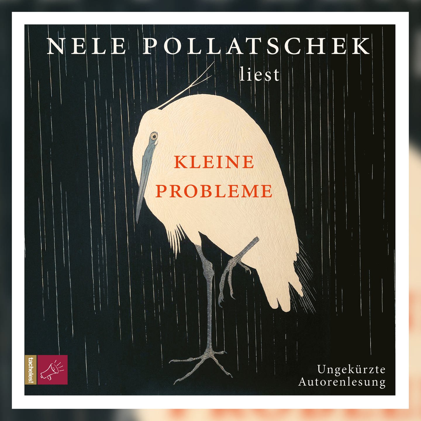 Nele Pollatschek: Kleine Probleme (Buch) in Altona - Hamburg Ottensen