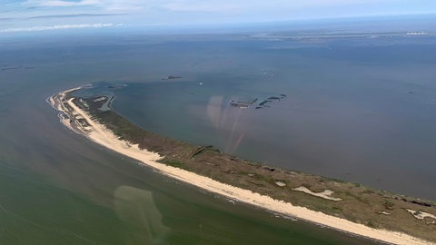 In the Mississippi Delta, more and more land is sinking into the water (Photo: SWR, Claudia Sarre / ARD-Studio Washington)